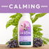 JASON Lavender Calming Body Wash, Gentle Feeling Clean, 30 Fluid Ounces