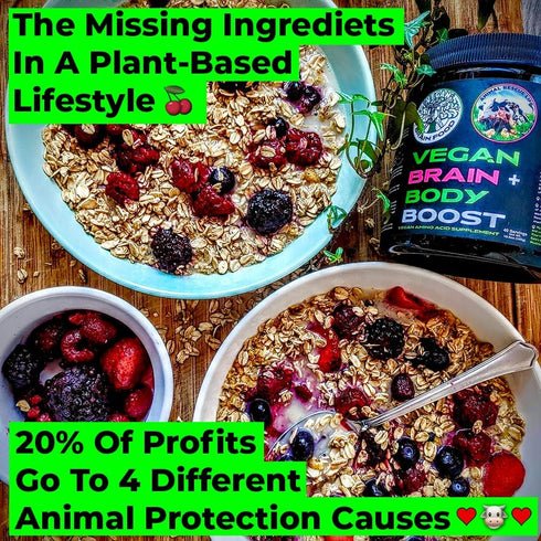 Vegan Brain & Body Boost, Plant-Based Lifestyle Supplement, Anti-Aging, Physical Fitness, Vegan Amino Acids - Creatine,