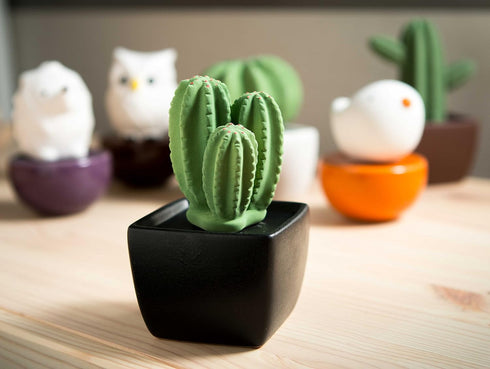Tri Cactus, Non-Electric Ceramic Diffusers for Essential Oils and Aromatherapy Fragrance, White Ceramic Diffusers