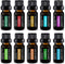 Pure Daily Care Aromatherapy Top 10 Essential Oil Synergy Blend Set - 10 x 10 ml Blends, Therapeutic Grade