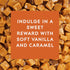 Glade Automatic Spray Refill, Vanilla Caramel Twist, 6.2 Oz Air Freshener for Home and Bathroom