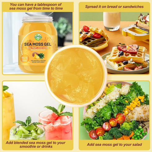 18.5OZ Sea Moss Gel | Organic Raw Flavored Irish Seamoss Gel | Immune and Digestive Support, Pineapple Flavor