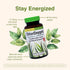 Herbs Etc. ChlorOxygen Chlorophyll Concentrate - Aids Healthy Blood Circulation - 60 Softgels