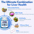 Arazo Nutrition Liver Cleanse Detox & Repair Formula – Milk Thistle Herbal Support Supplement with Silymarin, Beet,