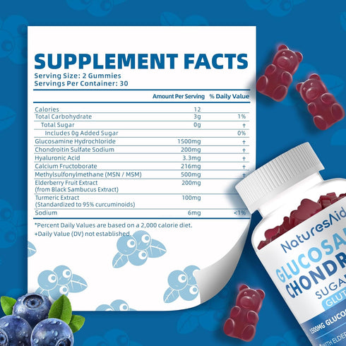 Glucosamine Chondroitin Gummies - Extra Strength with MSM & Elderberry for Joint Support, 2 Pack for Adults
