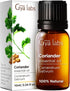 Set Set 2x0.34 oz Coriander Essential Oil & Petitgrain Essential Oil - Aromatherapy Grade Essential Oils - fl