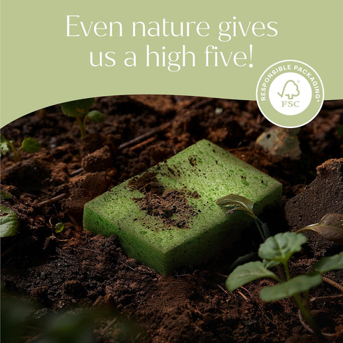 Plant-Based Pop-Up Sponges, Pack of 12 Cellulose Sponges, Highly Absorbent, Non Scratch