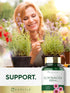 Carlyle Echinacea 650mg Capsules - 120 Count Non-GMO & Gluten Free Supplement