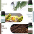 Set, MitFlor Winter & Woodland Fragrance Oils Creative Christmas Gift, Fragrance Oils for Diffuser, Candle & Soap