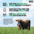 Naked Whey Chocolate Protein Powder - 3 Ingredients, Grass Fed, Organic, Gluten Free - 24 Servings