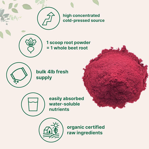 Organic Beet Root Powder, 4 Pounds - High Concentrated Raw Beet Supplement | Cold Pressed, Water Soluble, Non-GMO, Vegan