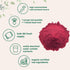 Organic Beet Root Powder, 4 Pounds - High Concentrated Raw Beet Supplement | Cold Pressed, Water Soluble, Non-GMO, Vegan