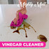 Mighty Mint Vinegar Cleaner, Non-Toxic, All-Purpose Spray, Natural Spearmint Scent, 16oz