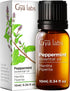 Set Set 2x10ml Lemongrass Essential Oil for Diffuser & Peppermint Oil for Hair - Aromatherapy Grade Essential Oils