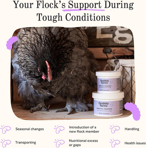 Grubbly Farms Prebiotics + Probiotics for Chickens, 30 Day Supply