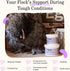 Grubbly Farms Prebiotics + Probiotics for Chickens, 30 Day Supply