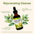 Herbs Etc. Essiac Tonic, 2 oz