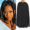Leeven 12 Inch Water Wave Crochet Hair - 2 Packs Short Bob Passion Twist Hair for Butterfly Locs, Natural Black