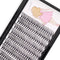 8-22mm to Choose 20D/40D/60D/80D/100D Individual False Eyelashes, Makeup Cluster Eyelashes Thickness 0.07mm D Curl