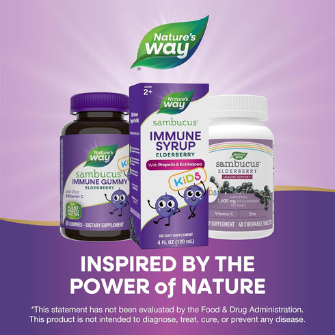 Nature's Way Sambucus Elderberry Immune Syrup for Kids - 4 Fl Oz, Vegetarian, with Echinacea & Propolis