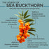 Sea Buckthorn Seed Oil, 100% Organic, 0.45 FL OZ Certified