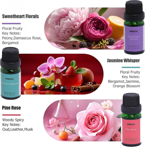 Set, Essential Oil Pure Bliss Fragrance Oils for Diffuser, Aromatherapy Collection, All Seasons Scents (Sweet Dreams)