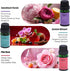 Set, Essential Oil Pure Bliss Fragrance Oils for Diffuser, Aromatherapy Collection, All Seasons Scents (Sweet Dreams)