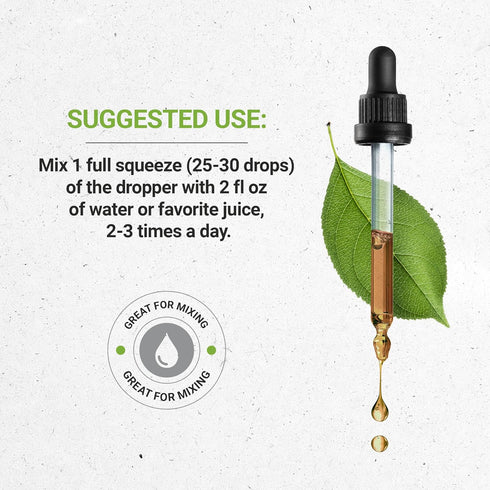 Secrets of the Tribe Rosemary Alcohol-Free Liquid Extract - Dried Leaf Tincture Supplement (4 FL OZ)