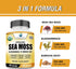 American Standard Supplements Organic Sea Moss, Bladderwrack & Burdock Root Capsules, 1200mg, 120 Capsules
