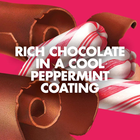 Pack (12 Pack) LUNA Bar - Chocolate Peppermint Stick Flavor - Gluten Free Snack Bars - Non-GMO - Protein Bars - Made