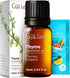 Set Set Wintergreen Essential Oil for Diffuser & Thyme Oil for Hair - Aromatherapy Grade Essential Oils - Gya Labs