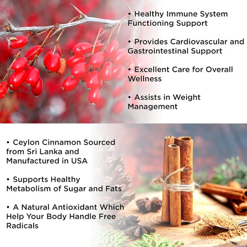 Berberine Supplement 1200mg with Ceylon Cinnamon Gummies — Sugar-free, 98% Pure & 10x Absorption for Weight Loss,