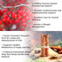 Berberine Supplement 1200mg with Ceylon Cinnamon Gummies — Sugar-free, 98% Pure & 10x Absorption for Weight Loss,