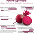 WellPath Beet Root Gummies | 1500mg Sugar Free Blueberry Flavor for Blood Pressure Support, 60 Ct