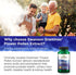 Swanson Maximum Strength Graminex Flower Pollen Extract, 60 Capsules, 500mg Each, Men's Health Supplement