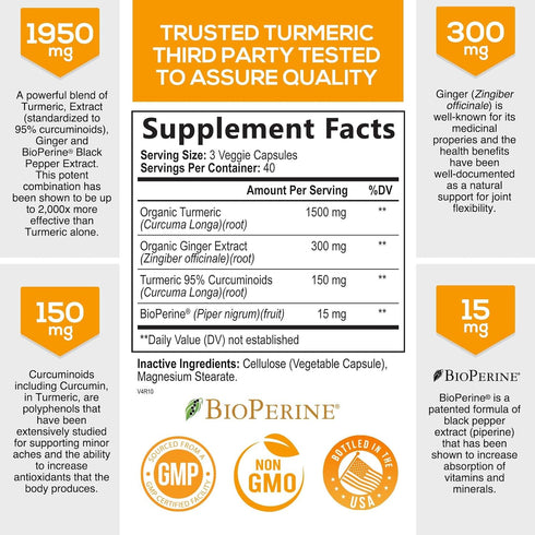 Turmeric Curcumin with BioPerine & Ginger 95% Curcuminoids 1950mg - Black Pepper Extract for Max Absorption, Nature's Joint Support Supplement, Herbal Turmeric Pills, Vegan Non-GMO - 120 Capsules