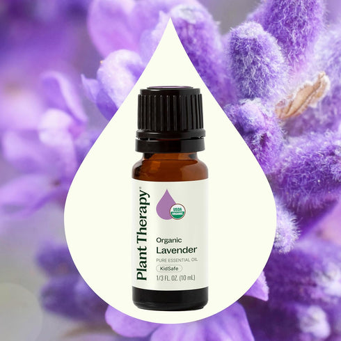 Plant Therapy Organic Lavender Essential Oil 100% Pure, 10 mL, USDA Certified Organic
