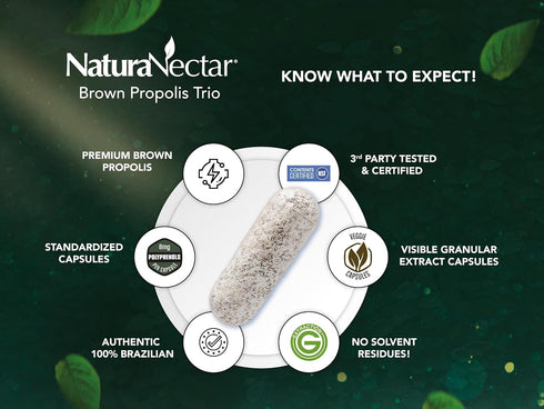 NaturaNectar Brown Bee Propolis, NSF Contents Certified, Premium Brazilian Propolis, Gluten-Free Supplement, 60pcs