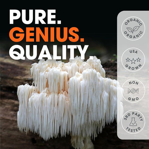 Genius Lions Mane Supplement Capsules, Organic Nootropic, 1200mg per Serving, 120 Veggie Pills