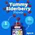 Feel Great Vitamin Co. Elderberry Gummies for Kids - Immune Support, 90 Gummies