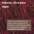 Astaxanthin Complex, Natural Algae Antioxidant for Eyes, Skin & Joints, 90 Vegan Softgels, Non-GMO 42 mg Astapure