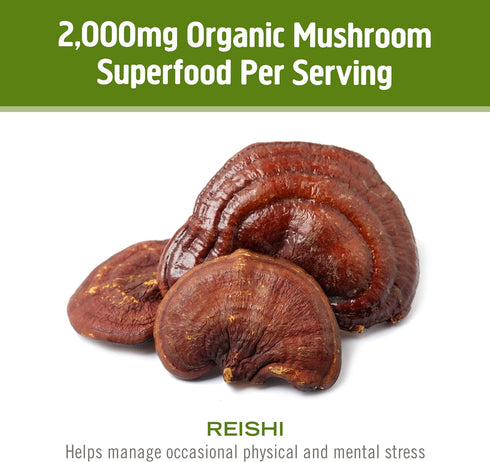 OM Mushroom Superfood Reishi Organic Mushroom Powder, 3.5 Ounce, 50 Servings, Adaptogen, Stress & Immune Support