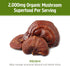 OM Mushroom Superfood Reishi Organic Mushroom Powder, 3.5 Ounce, 50 Servings, Adaptogen, Stress & Immune Support