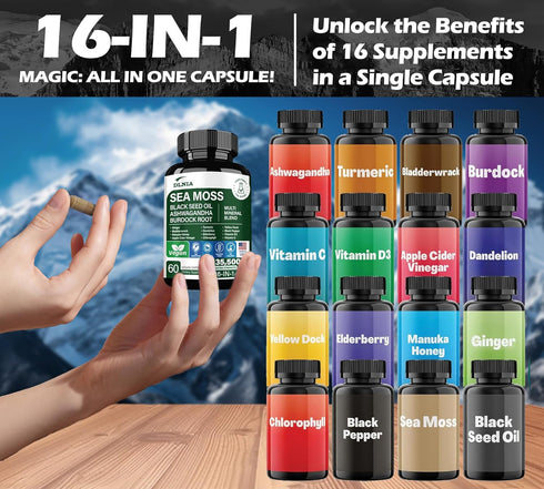 16-in-1 Organic Sea Moss 7000mg, Ashwagandha 2000mg, Black Seed Oil 4000mg, Turmeric, Vitamin C & D3 for Overall Health