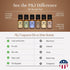 Set P&J Trading Fragrance Oil Coffee Shop | Coffee, Caf Mocha, Chai Tea, Hot Chocolate, Blueberry Muffin, French