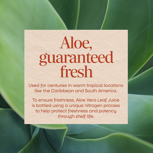 Nature's Way 99.5% 33.8 Oz Aloe Vera Leaf Juice with Polymax+, Purified Aloe Vera Leaf Juice from Concentrate
