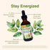 Herbs Etc. ChlorOxygen Chlorophyll Concentrate, Mint, 2 fl oz, Energy Support