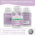 GENEX Fisetin 100mg/Serving (60 Capsules) | Antioxidant for Healthy Aging and Brain Wellness - Non-GMO, Gluten Free