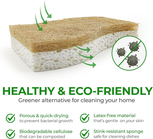 Pack 12 AIRNEX Natural Kitchen Sponge - Biodegradable Compostable Cellulose and Coconut Scrubber Sponge - of Eco