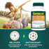 Genacol Turmeric Curcumin Collagen Supplement with 95% Curcuminoids, Black Pepper & AminoLock - 90 Capsules